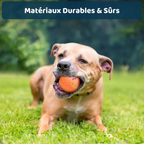 Balle interactive pour chien
