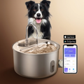 Distributeur d'eau connecté pour chien et chat