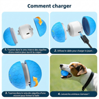 Balle interactive pour chien