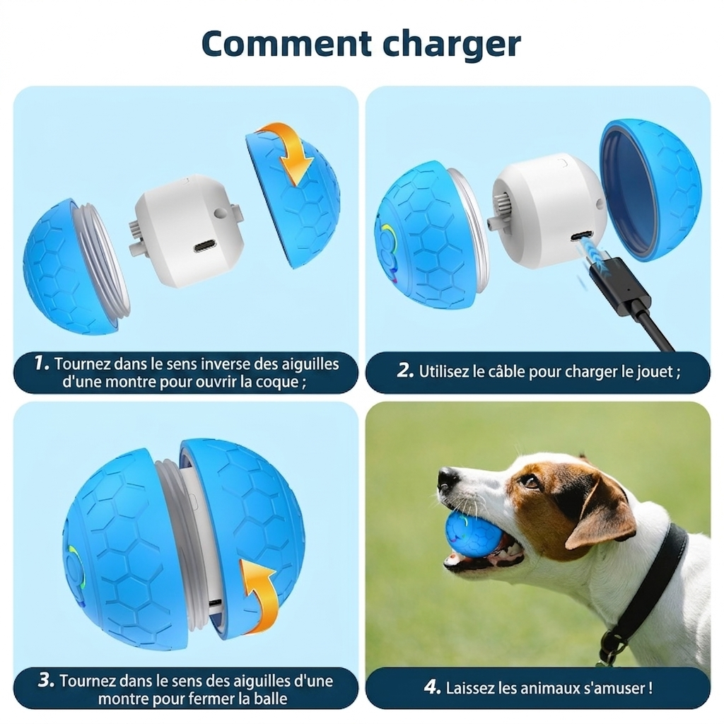 Balle interactive pour chien