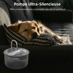 Pompe ultra-silencieuse pour un environnement paisible