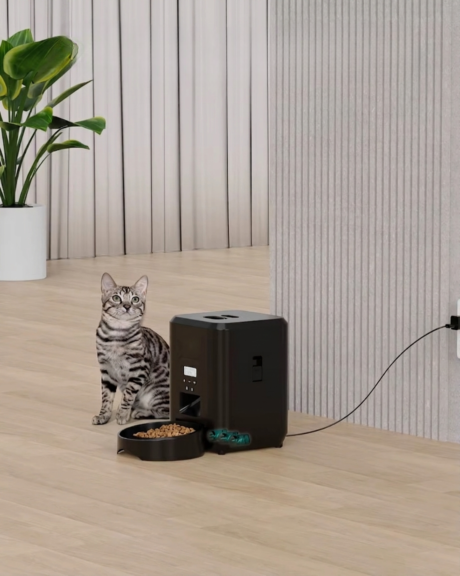 Distributeur connecté branché près d'un chat