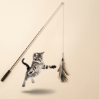 Chaton sautant pour attraper la canne à pêche