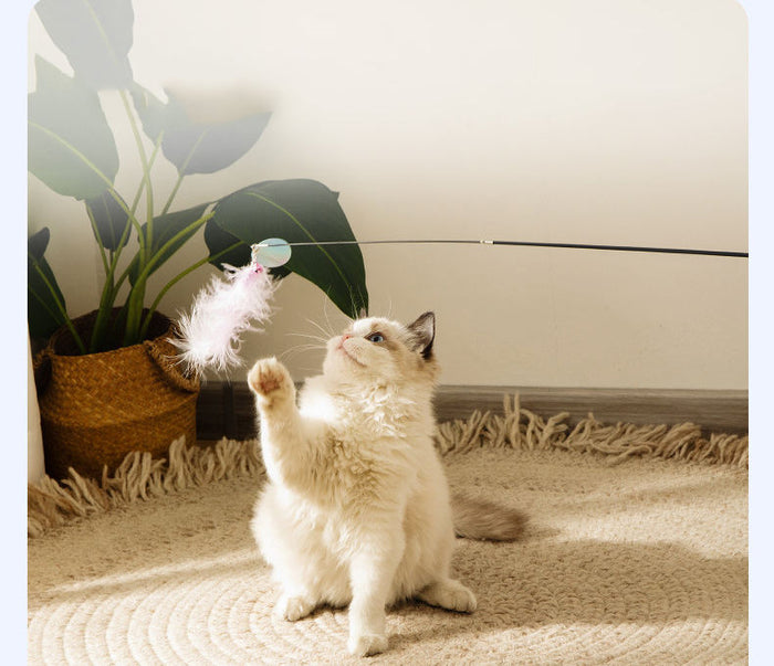 Canne à pêche pour chat
