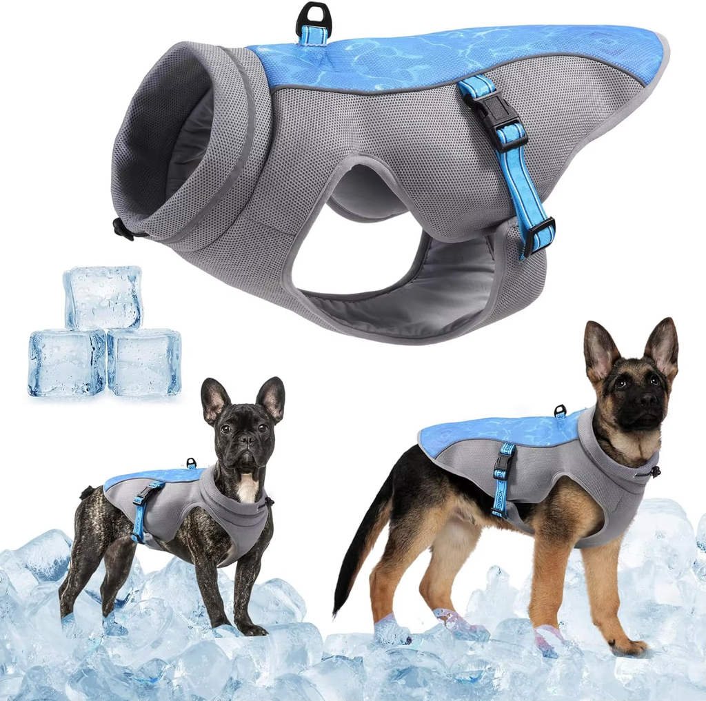 Gilet rafraîchissant coloris bleu sur plusieurs races de chiens