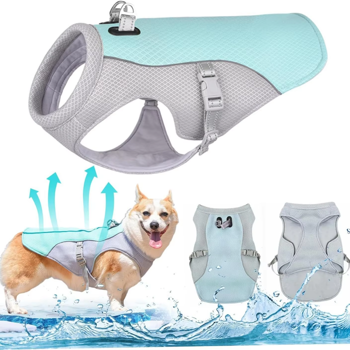 Gilet rafraîchissant pour chien