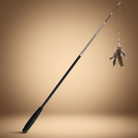 Canne à pêche pour chat