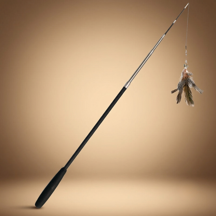 Canne à pêche pour chat