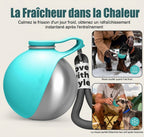 Chien qui boit dans la gourde balle pendant une promenade